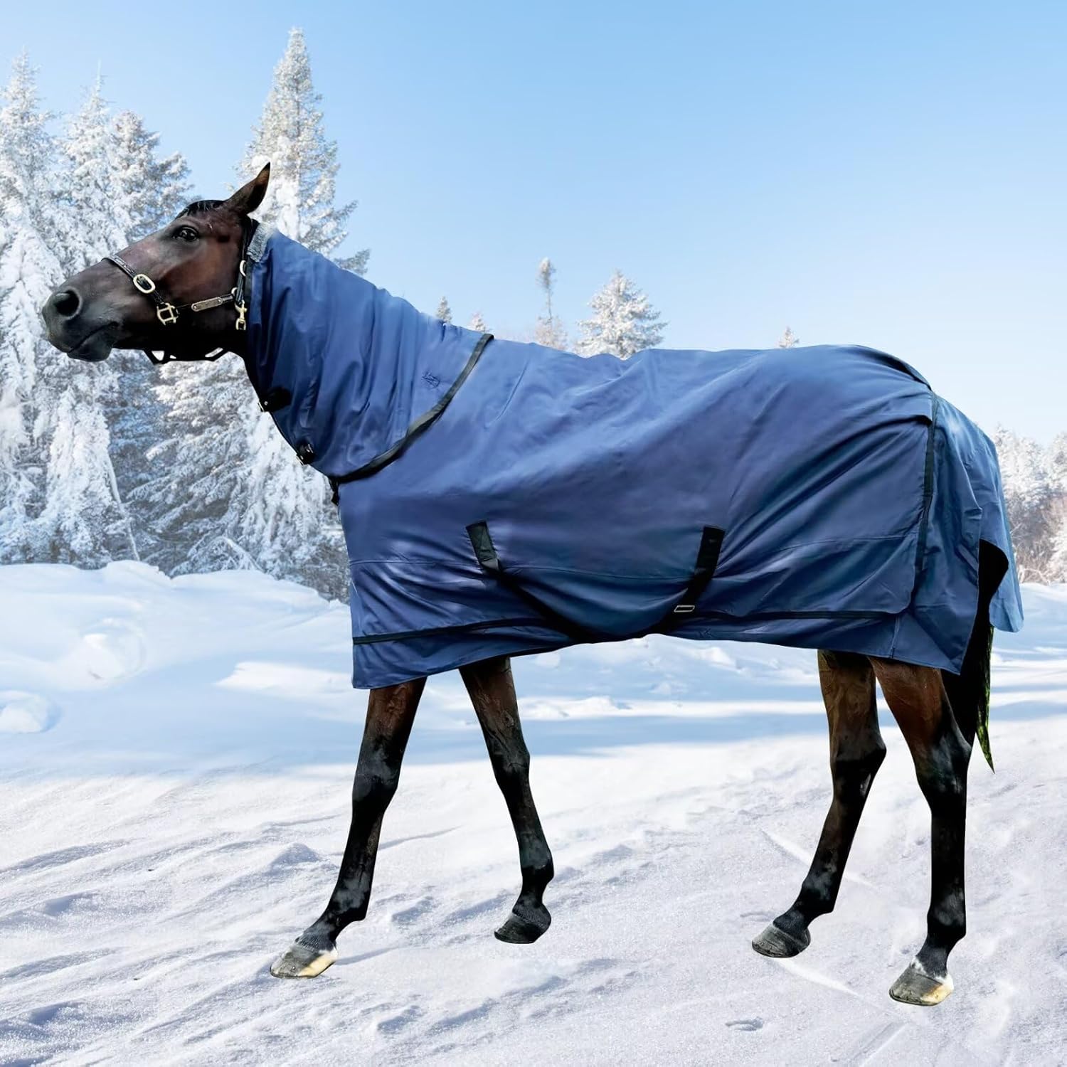 Waterproof Horse Turnout Blanket Horse Winter Blanket Medium Weight Horse Blanket with Detachable Neck Cover Size 78 Navy Blue