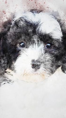 Filhotes de cachorro papel de parede