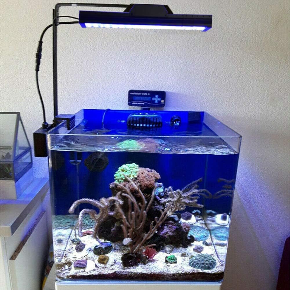 最新作 海水魚 サンゴ水槽用 1w Led照明 Ledライト プレート型 フルスペクトル 高機能 高性能 水槽用照明 サンゴ照明 Peeric Com 最新作 海水魚 サンゴ水槽用 1w Led照明 Ledライト プレート型 フルスペクトル 高機能 高性能 水槽用照明 サンゴ照明 Peeric Com