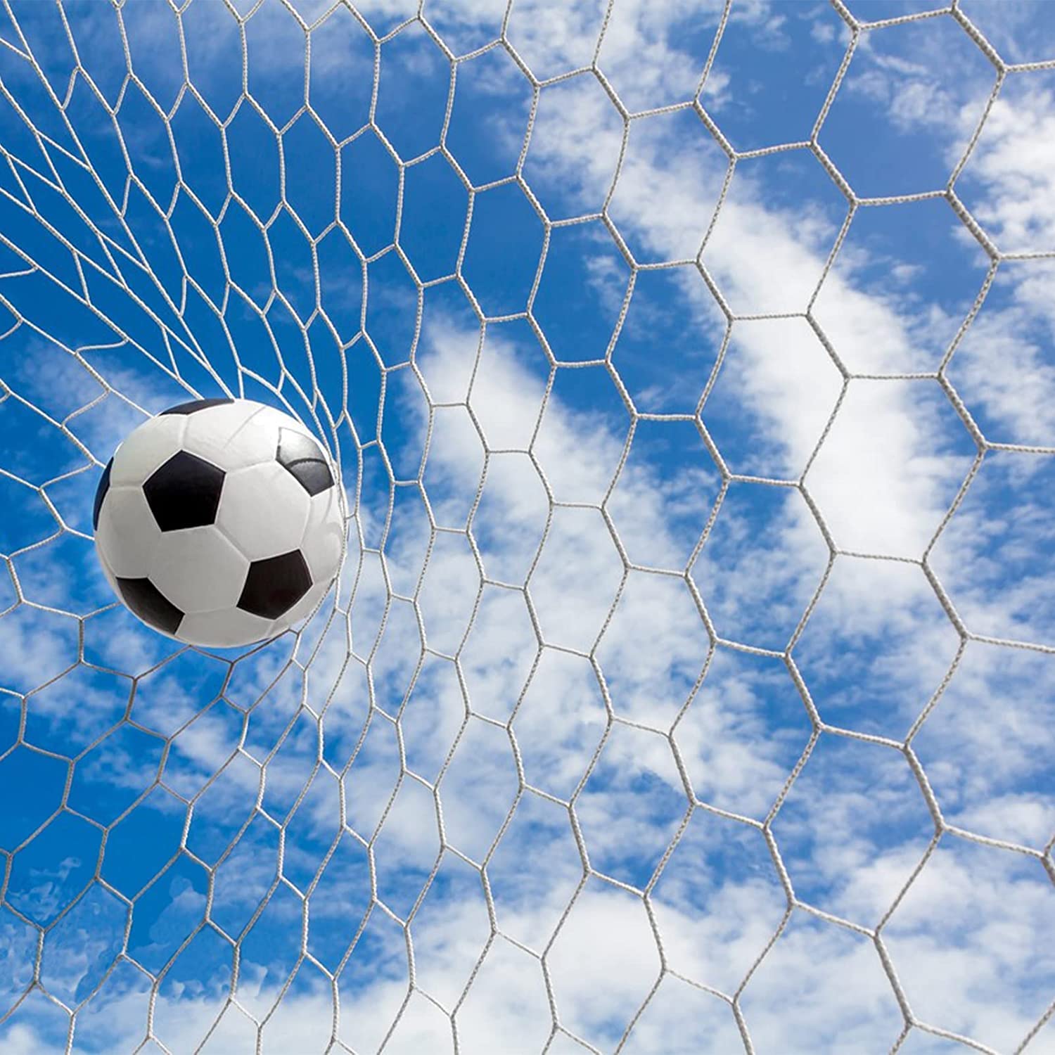 Aoneky Red para Portería de Fútbol de Poliéster - 3×2m/3.6×1.8m/5.5×2.1m/7.3×2.4m, Cuerda de 4mm de Diámetro, Red Portátil de Reemplazo para Formación Práctica Entrenamiento Partido, Blanco, Sin Marco