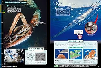 【eat】深海魚(生成り)×黒　入園入学グッズ７点 eat】深海魚(生成り)×黒 入園入学グッズ7点 楽天市場】深海魚