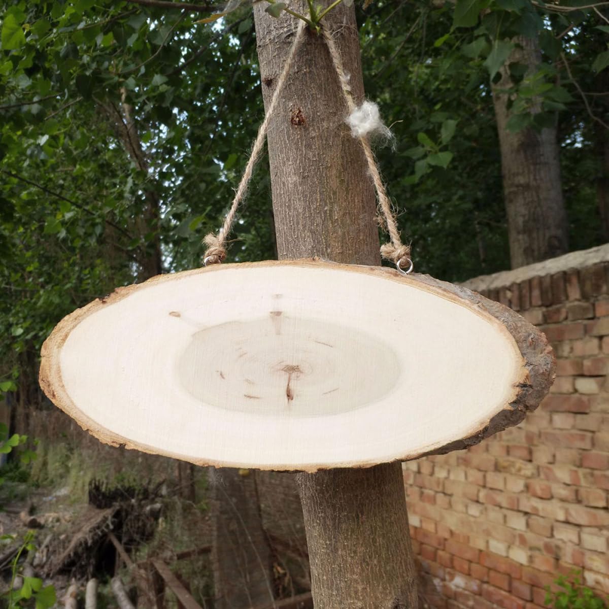 5 Stück Ovale Holzscheiben aus Kiefernholz zum Hängen Fertig zum Bemalen und Bekleben für Riegel und Shops 8x28cm Holzdeko zum Basteln