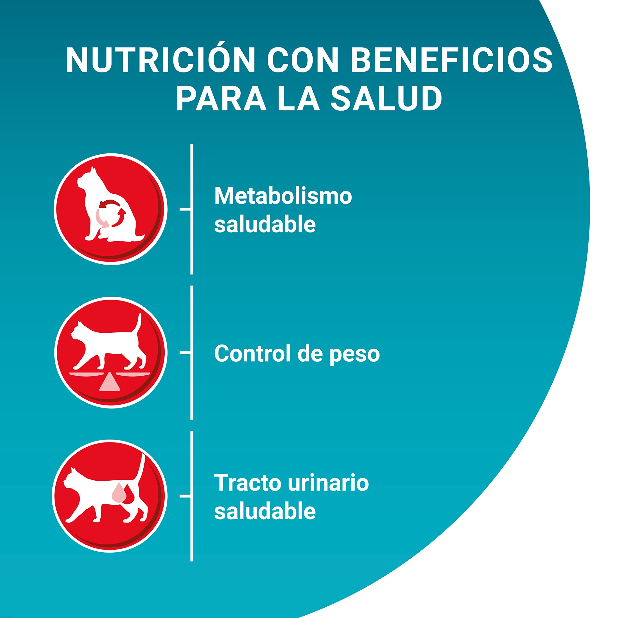Purina ONE Bifensis karma dla kota sterylizowana dla dorosłych z łososiem, 4 worki 2,8 kg