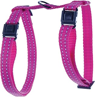 Amazon Fr Colliers Harnais Et Laisses Pour Chats Martin Sellier Colliers Harnais Et Animalerie Amazon Fr Colliers Harnais Et Laisses Pour Chats Martin Sellier Colliers Harnais Et Animalerie