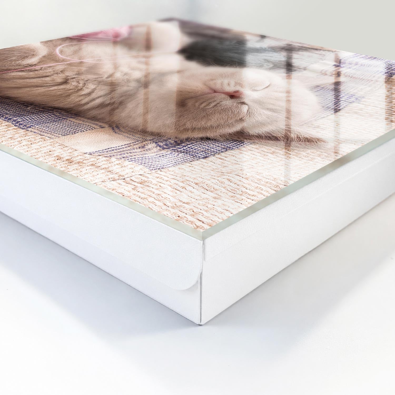 Tulup Armario de Llaves 30x30 cm | Blanco | Izquierda | Montaje en Pared | Gatito durmiendo | Organizador | 50 Ganchos | Frente Decorativo de Cristal | de Metal | Kit de Montaje Incluido