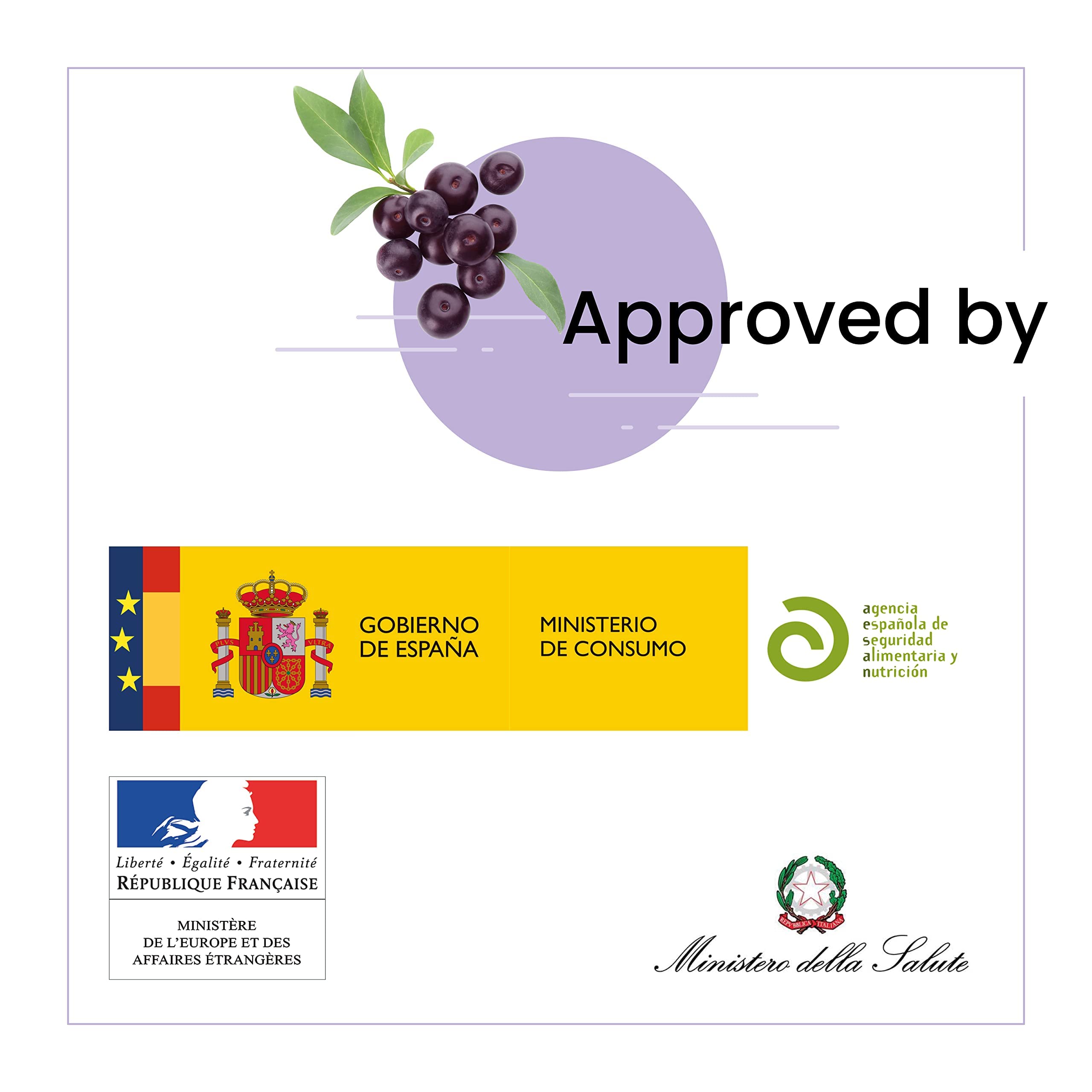 SanaExpert Acai Berry Pack 2. Integratore antiossidante con puro estratto di bacche di Acai alto dosaggio 4000 mg. (120 compresse ogni confezione) Ingredienti naturali. Prodotto in Germania.
