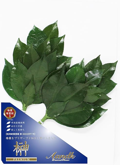 Amazon A K プレミアム 榊 プリザーブド Sサイズ椿葉増量版 1対 約高さ28cm X 幅14cm 丹波産 高級椿葉使用 神棚 お供え用 榊 オンライン通販