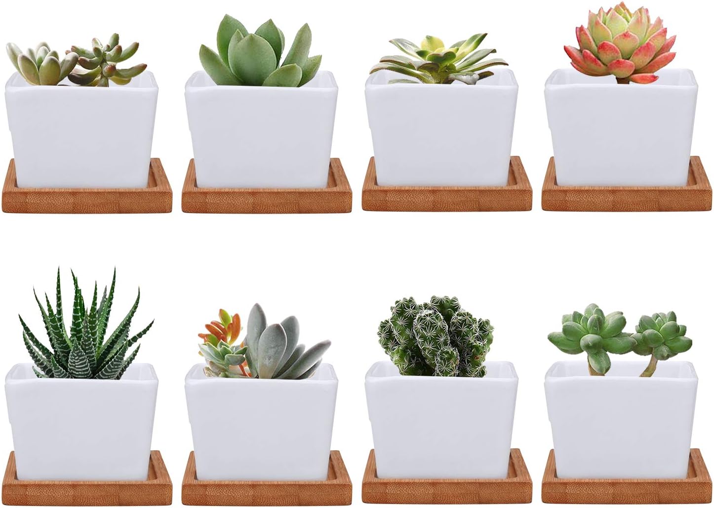 Succulent Pots,Brajttt Mini Ceramic Flower Pots Plant Pot with Bamboo Tray, Cactus Planters with Hole and Drinage（8 Pack…