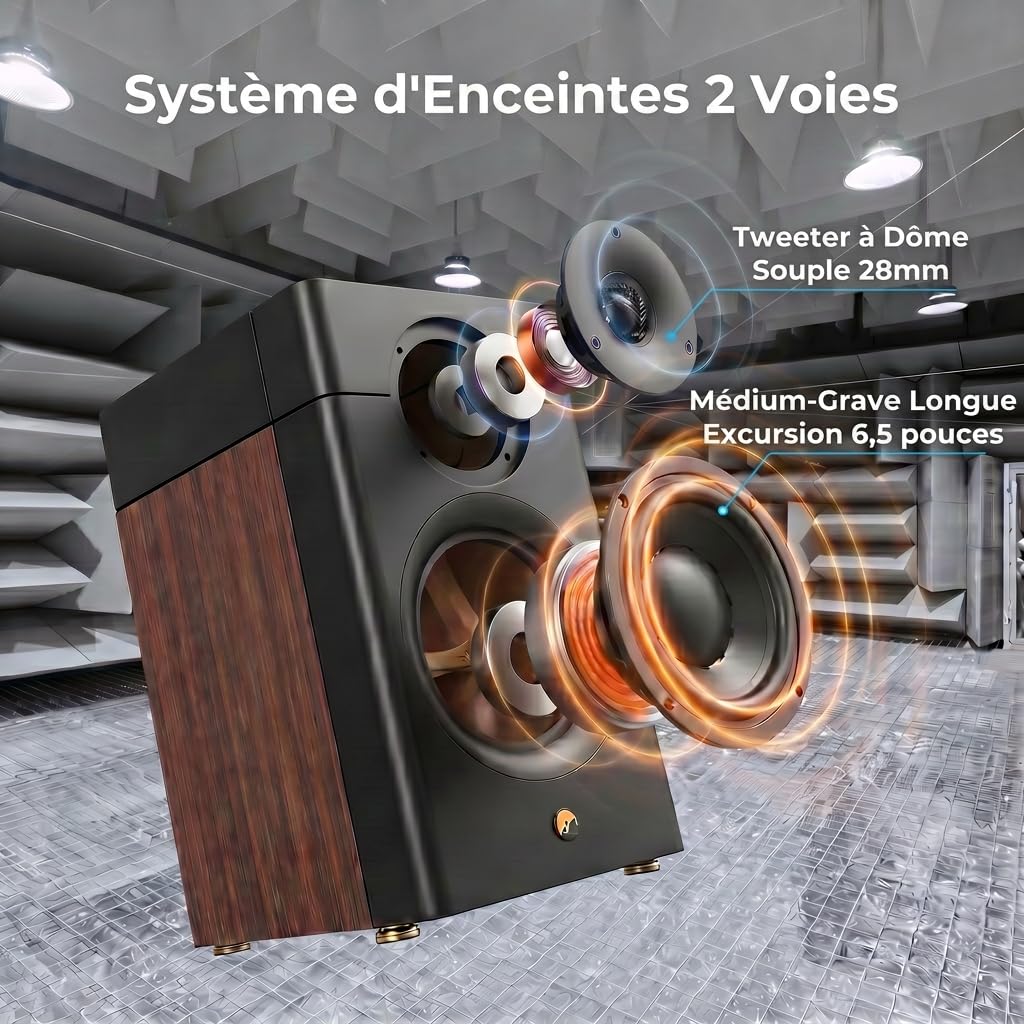 HiVi-Swans Enceinte Passive de bibliothèque D3.1 MKII, Paire d'enceintes domestiques 2 Voies 6,5 Pouces – Nécessite Un amplificateur ou Un récepteur pour fonctionner