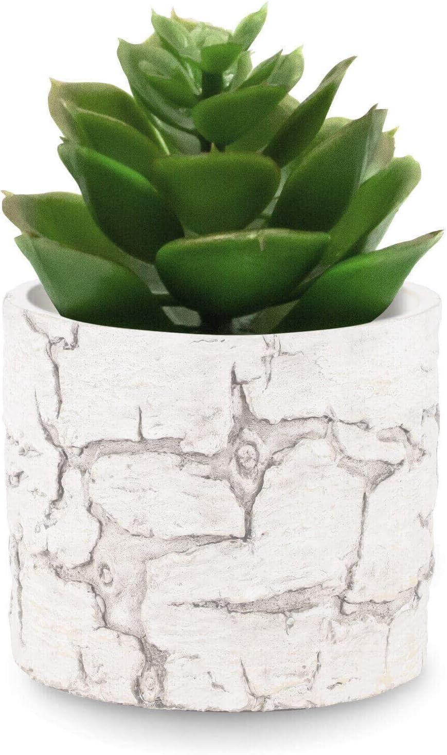 INSPIRELLA Timeless Modern Indoor Flower Pot 6.5