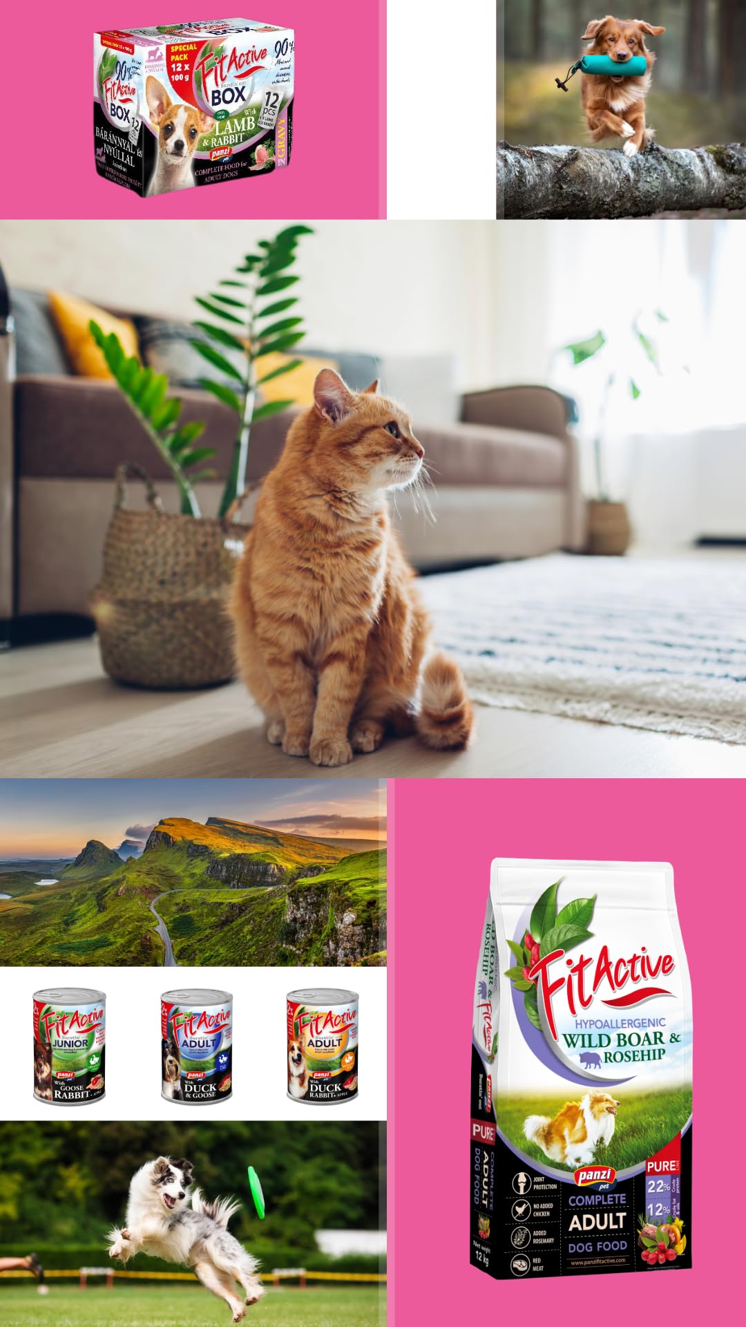 Panzi Pet – Fit Active Hypoallergenic Lamb SMALL 11 kg – małe karmy dla psów z jagnięciną bez kurczaka – hipoalergiczna karma dla małych ras – dla dorosłych