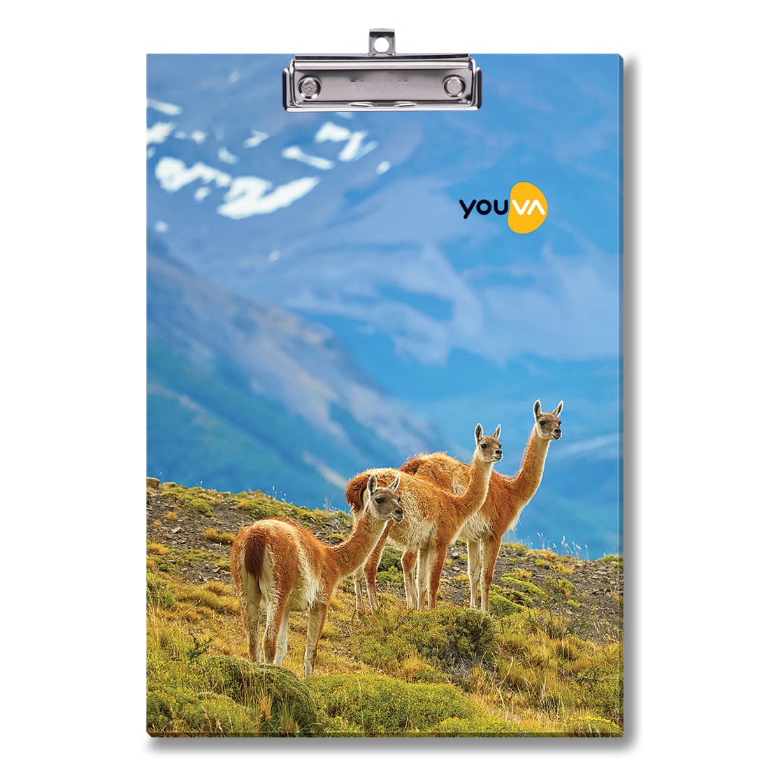 Navneet Youva Tablica do egzaminów regularnych dla studentów, tablica z klipsem, rozmiar Foolscap - 24 cm x 34,5 cm, 12 sztuk