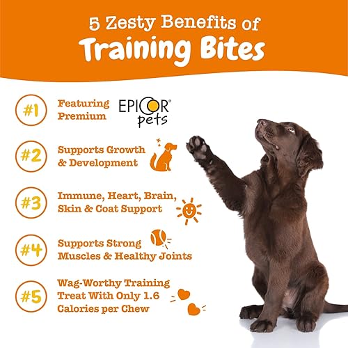Miniatura 5 de Suplementos multifuncionales para perros  Glucosamina condroitina para apoyo articular + golosinas de entrenamiento para perros y cachorros  Salud