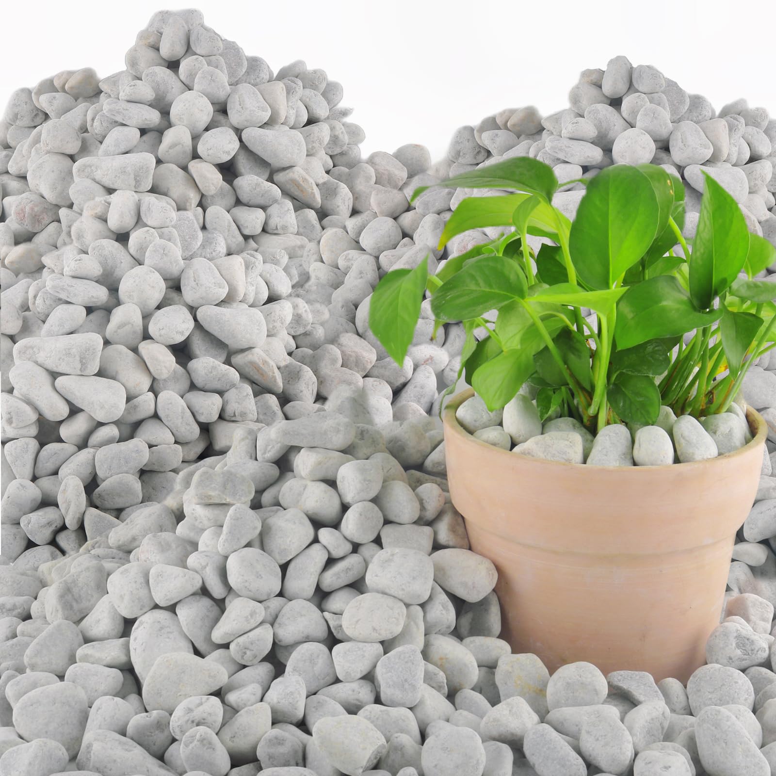 45LB Natural Grey Gravel, 0.8"-1.8" River Rocks,Decorative Pebbles for Indoor Outdoor Planters, Terrarium Rocks in Bulk,Aquarium Gravel for Pathways Backyard Walkways Landscaping Fish Tank