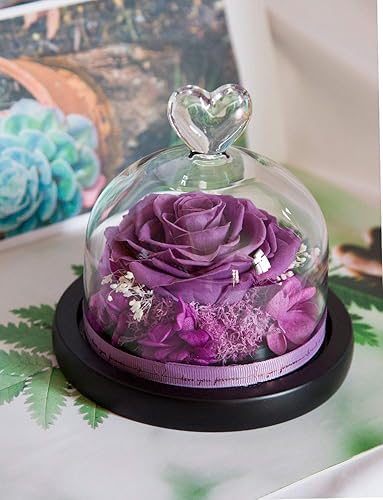 Vista 33 de DuHouse Forever White Roses - Caja de flores reales preservadas para San Valentín, cumpleaños, aniversario, día de la madre, Navidad (blanco)