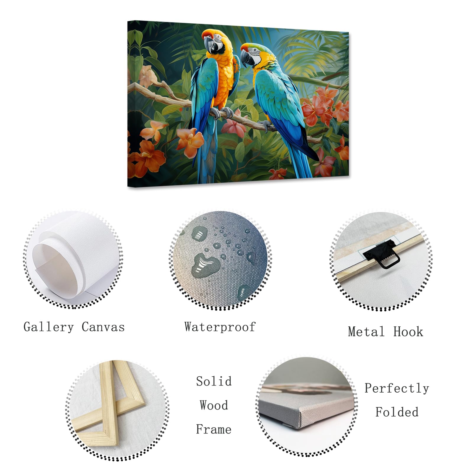 コンゴウインコの壁掛けインテリア コンゴウインコの壁掛けインテリア Amazon.co.jp: ZXHYWYM