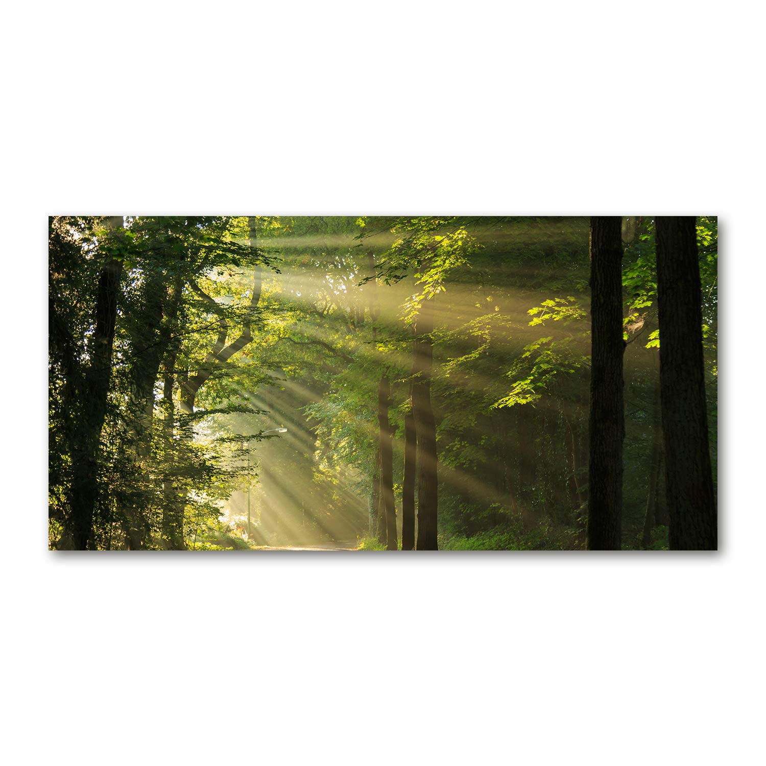 Tableau plexiglas Tulup 120x60 cm décoration murale haut de gamme image acrylique forêt soleil