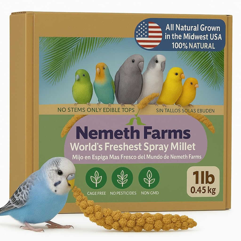 Nemeth Farms Premium Non-GMO Spray Millet Treat | Hand-Harvested Bird Snack | 100% Edible Tops | Sun-Dried Supplement for Parakeets, Cockatiels, Finches, Lovebirds, Canaries