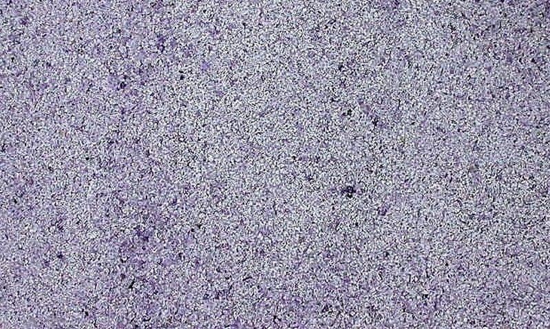 Una onza natural sin tinte amatista incrustación artesanía joyería polvo de carpintería