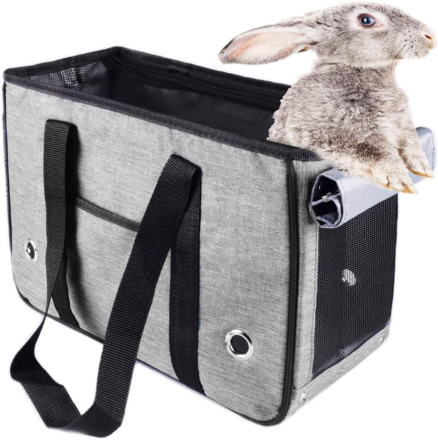 bunny carrier