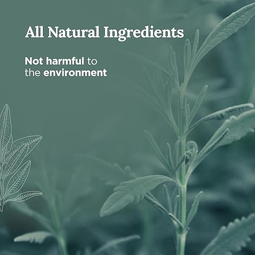 Miniatura 3 de MAGNIFICENT 101 Vela de aromaterapia de limpieza energética de salvia blanca pura, tarro de vidrio de 14.5 onzas con tapa, cera de soja natural y