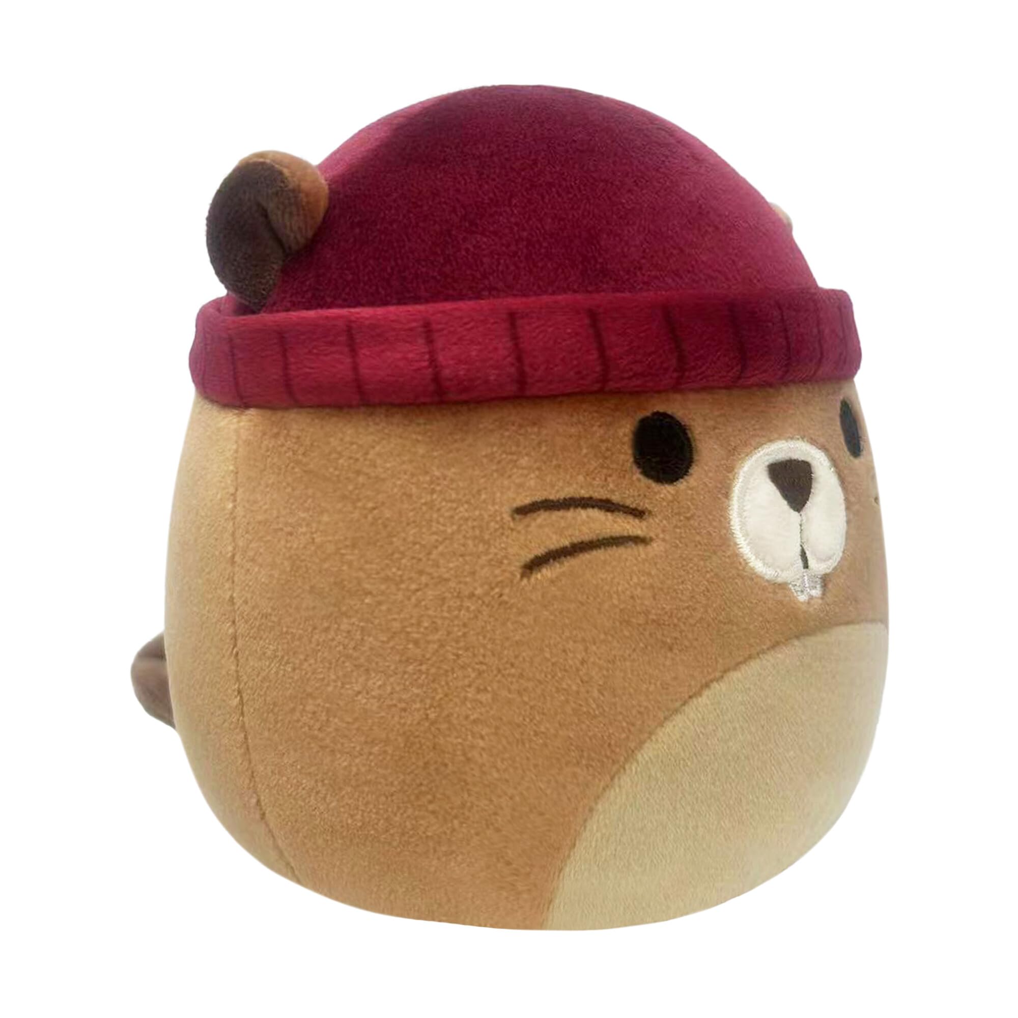 https://m.media-amazon.com/images/I/71rpSPcwiSL.jpg