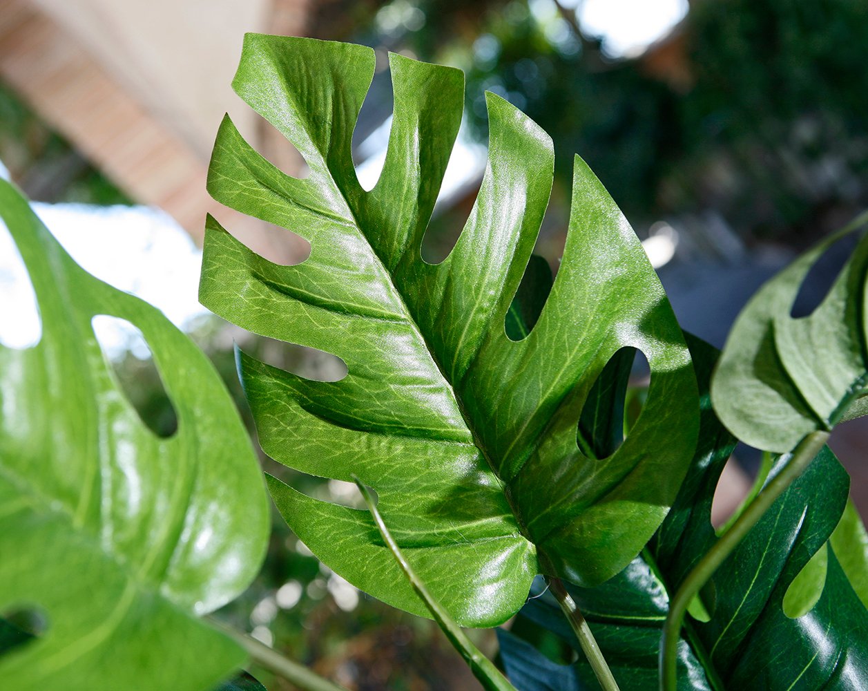 Catral 74010020 Planta artificial Monstera, 22.0x22.0x135.0 cm | Producto Nortene Para Jardín, Terraza Y Exterior, Resistente Y Duradero Para Uso Exterior Continuado. Fácil Instalación