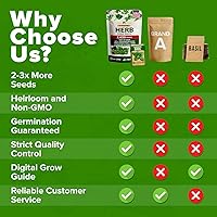 Vista 19 de HOME GROWN Más de 1000 semillas de cilantro para plantar en interiores o exteriores, hierbas tradicionales sin OMG, semillas de plantas de cilantro