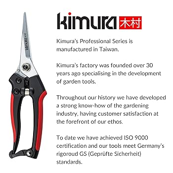 Amazon.com : Kimura® 8