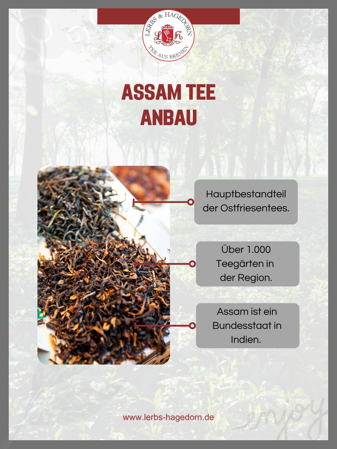 Lerbs & Hagedorn Bremen Assam FTGFOP1 Tonganagaon 1 kg Bio Tee Tasche