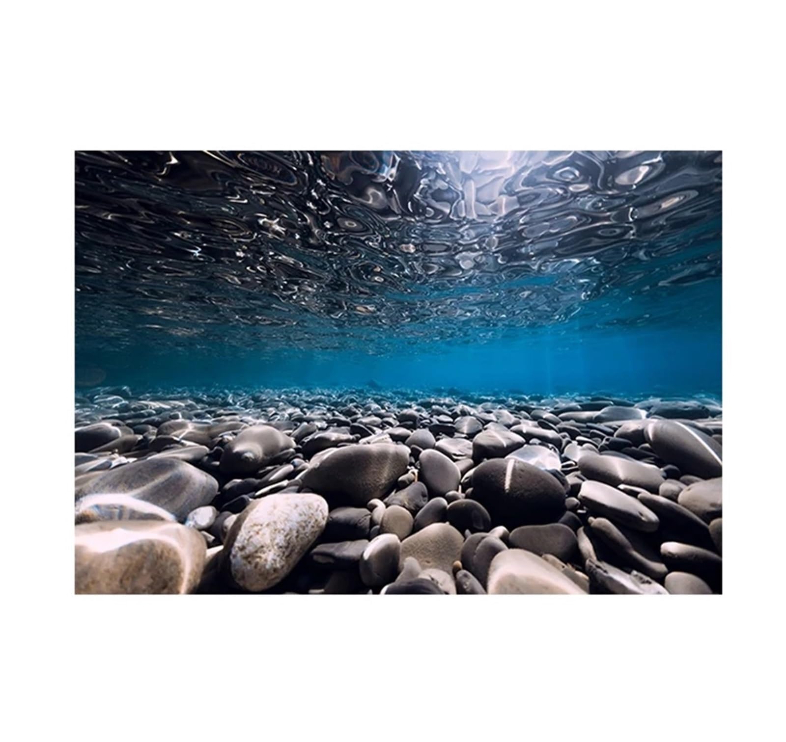 Fondo Acuario Adhesivo de Fondo for Acuario, río, Piedra, Papel Tapiz, decoración for pecera, póster Paisaje PVC(50x100cm)