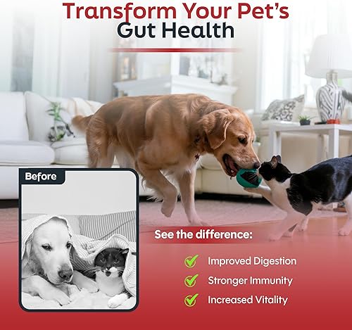 Miniatura 2 de Probióticos para gatos y perros - 6 mil millones de UFC en polvo prebiótico y probiótico - 8 cepas de apoyo digestivo para mascotas - Suplemento de