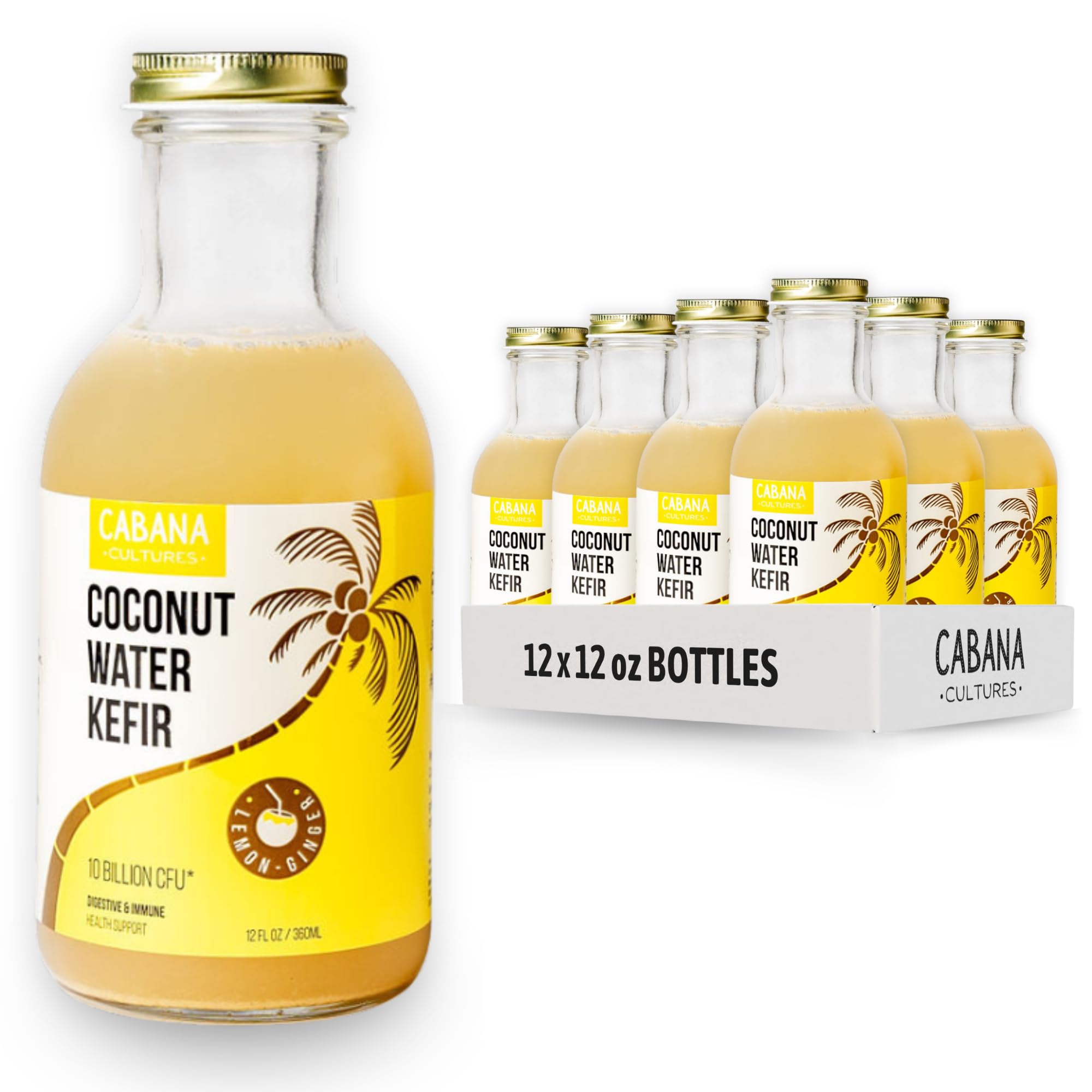 Amazon.com: Cabana Cultures - Probiotic Coconut Water Kefir, Gut