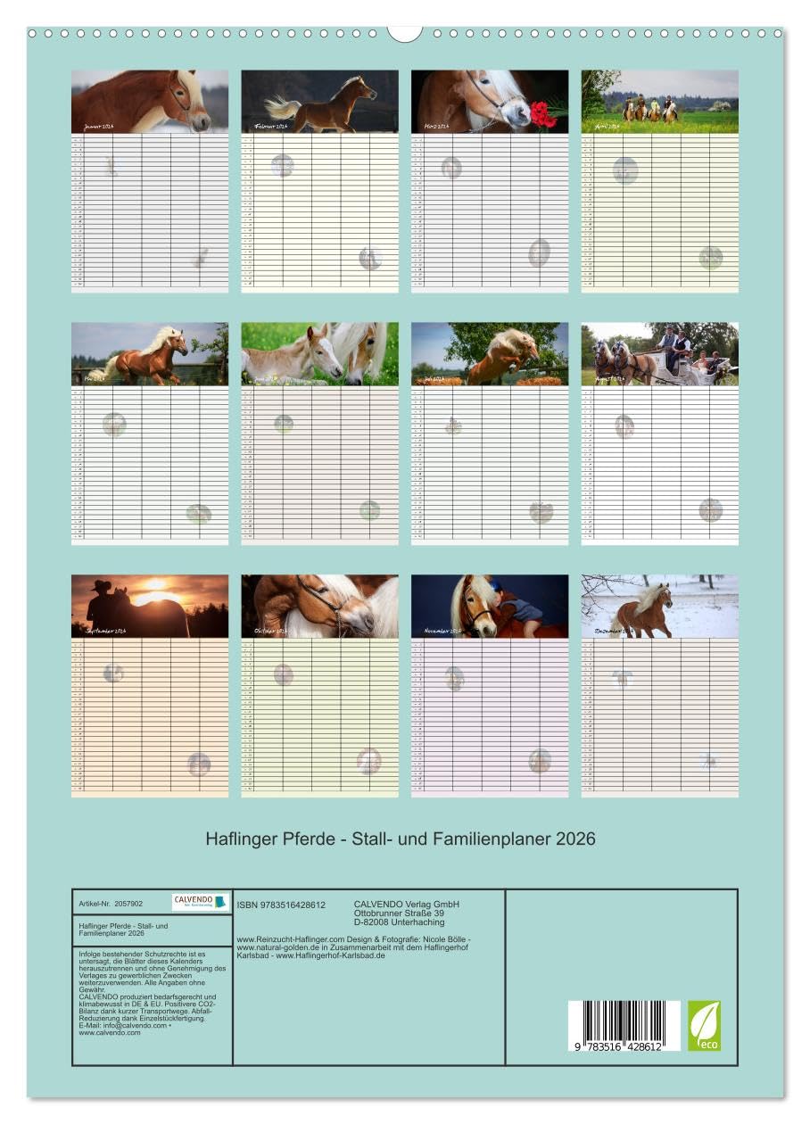 Haflinger Pferde - Stall- und Familienplaner 2026 (hochwertiger Premium Wandkalender 2026 DIN A2 hoch), Kunstdruck in Hochglanz: Stallplaner und ... Blick mit Haflinger Pferden (CALVENDO Tiere)