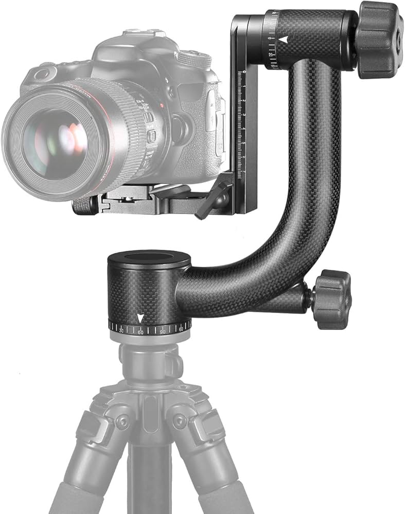 71rpoc6ARBL._AC_UF894,