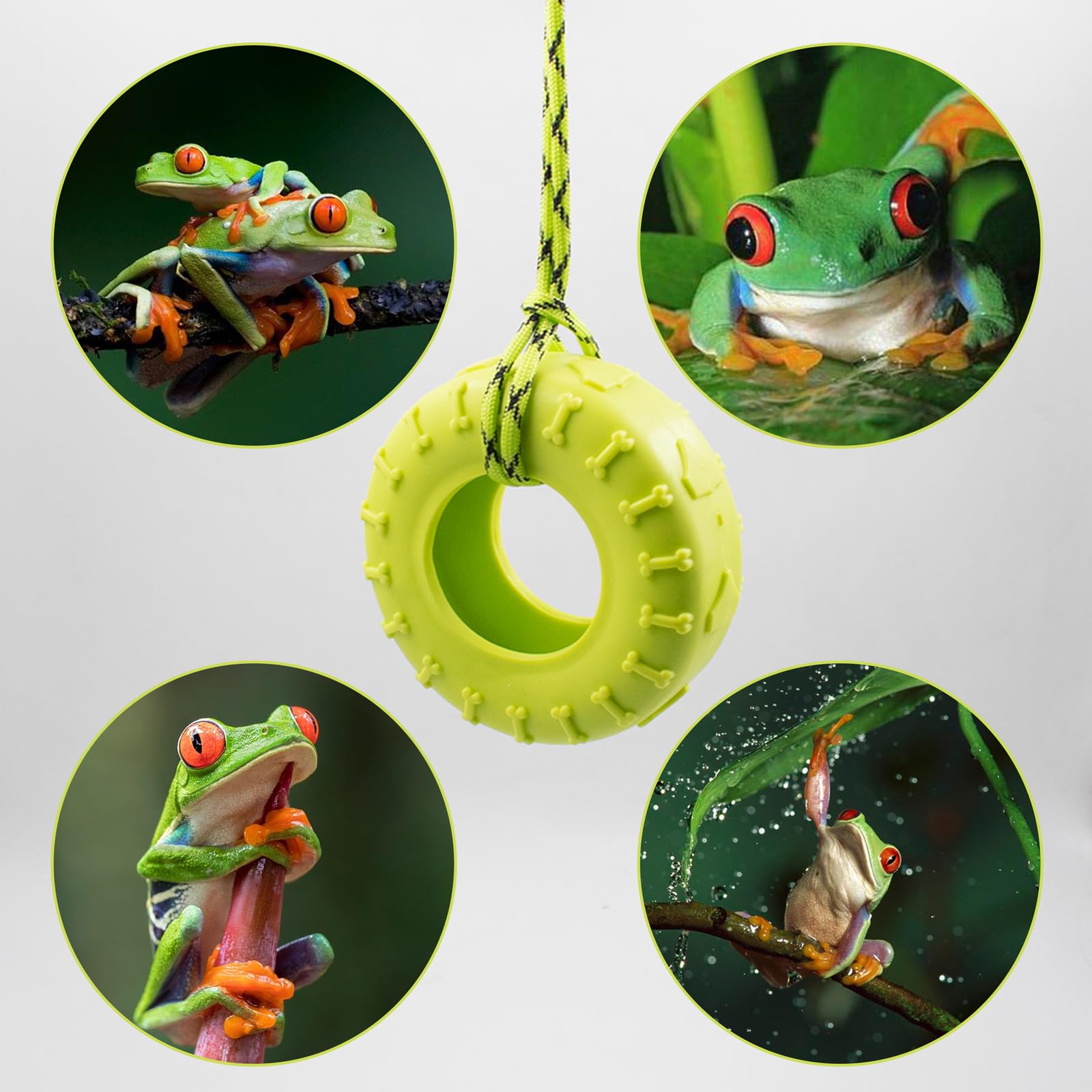 Baumfrosch-Spielzeug Mit 4 Reifenschaukeln – 300 Cm Seil, Saugnapfhaken, Für Terrarien & Amphibien, Aus TPR-Gummi