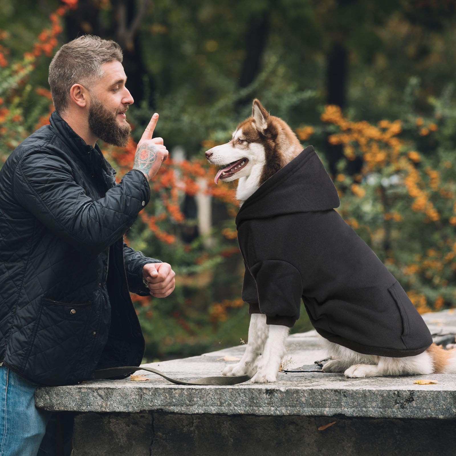 Amazon.co.jp: 大型犬用犬用セーター 犬用パーカー フリースセーター
