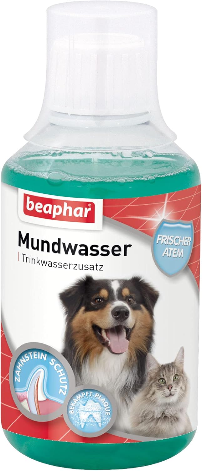 Boca Agua para Perros y Gatos, Agua Potable Adicional contra halitosis en Perros & Gatos | fertiliza Plaque | Previene Dientes Piedra Antes | con mentol | 250 ml