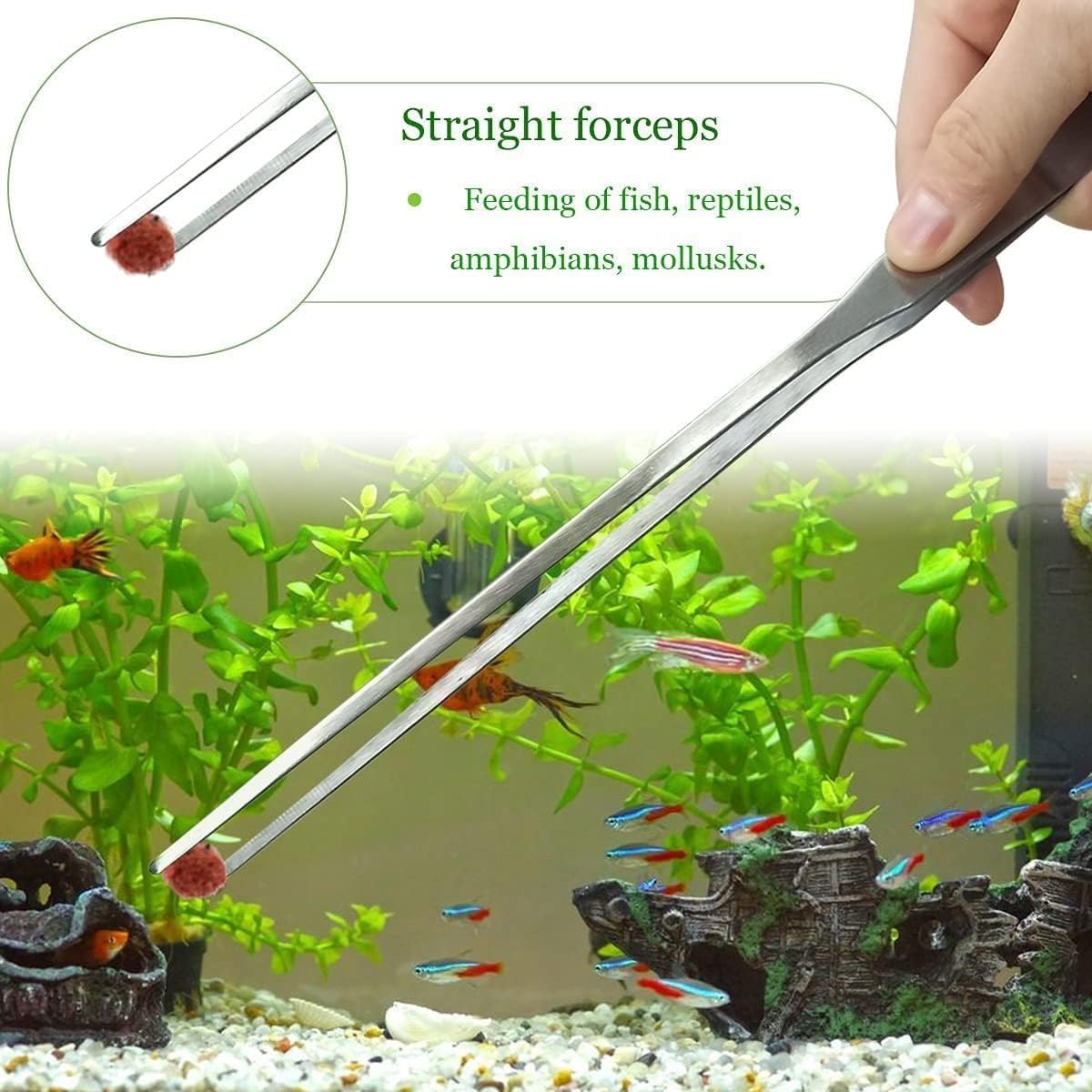 Pinces Courbées Longues de 27 cm 2 pièces, Outils d'Aquarium et de Terrarium, Pinces d'alimentation pour Reptiles, Plantes Aquatiques et Terrarium