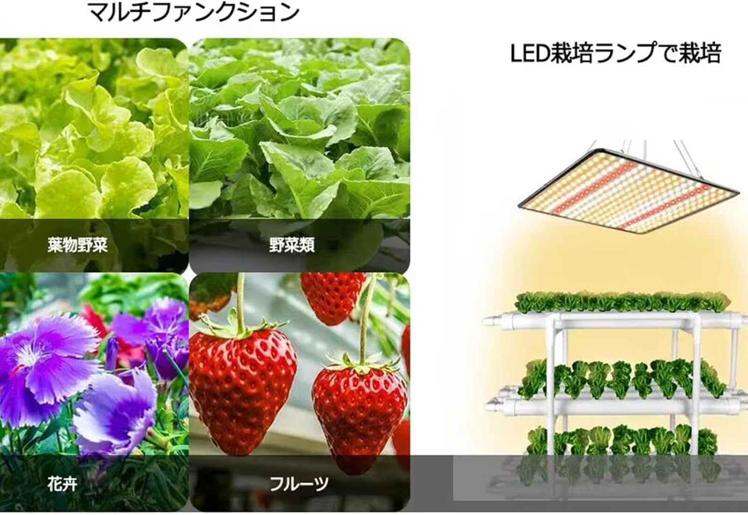 Amazon | LAPOND 水耕栽培キット 室内水耕栽培 中型水耕栽セット 野菜 