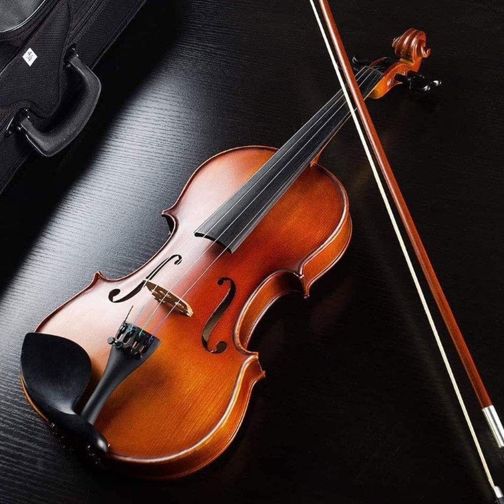 Violino Concerto con Custodia per Violino, Violino acustico 4/4 violino classico montato in ebano con manuale, borsa, kit for principianti, naturale