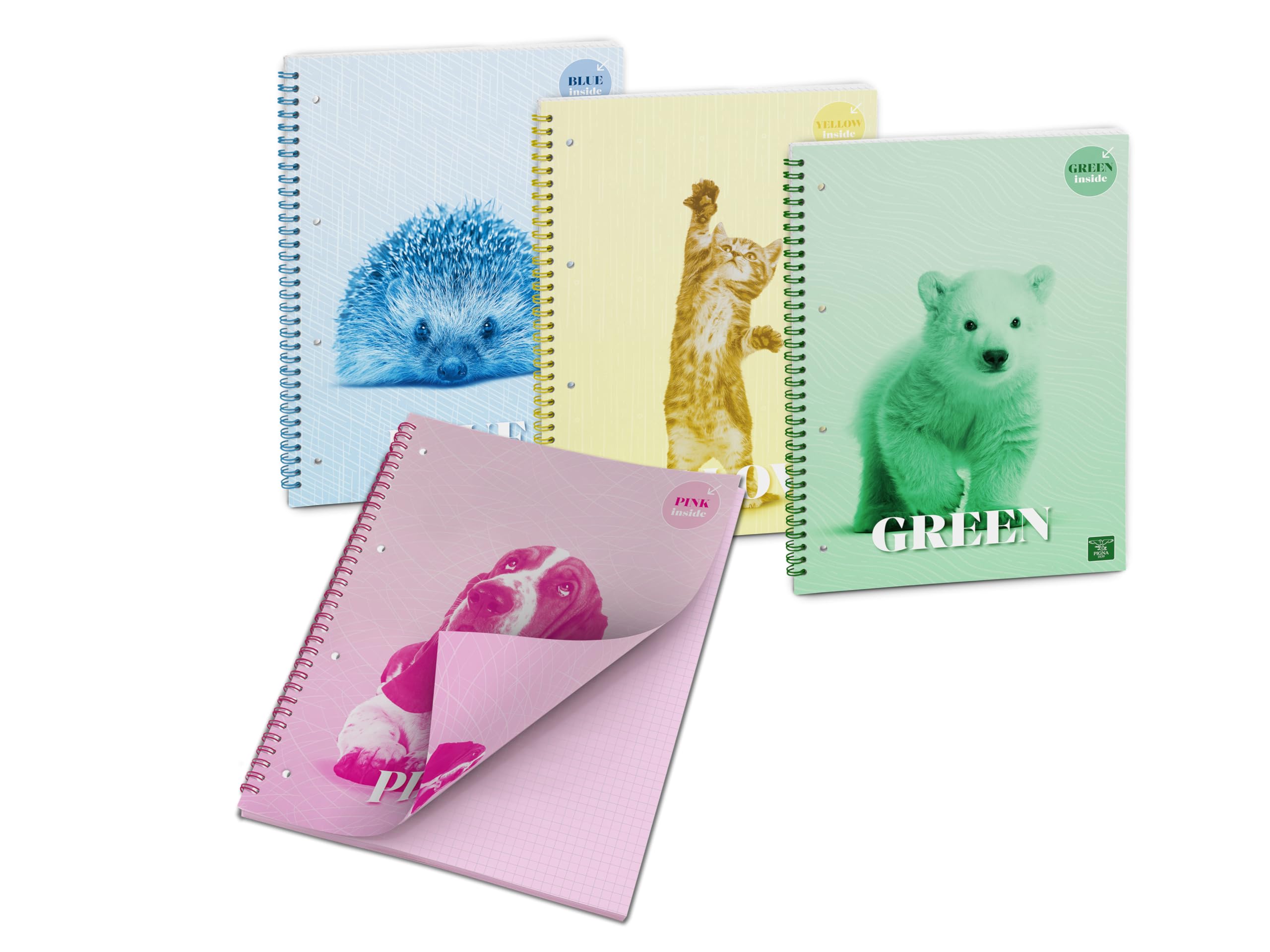 Pigna, Colour Inside Spiral Notebook with Coloured Sheets, 21 x 29.7 cm, 50 Sheets, 80 g/m², Lined Sheets, Pack of 4 (4 Subjects in Package)