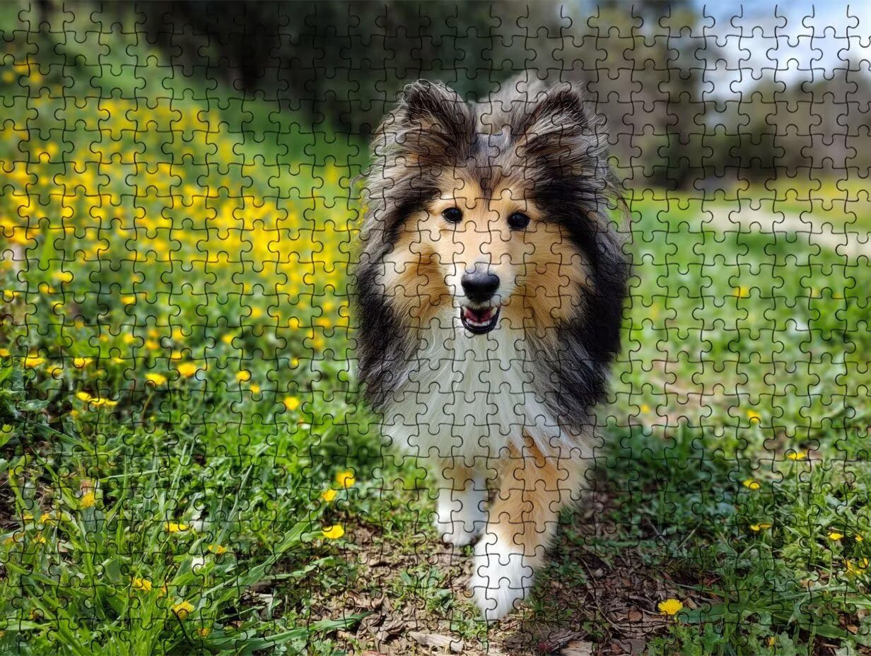Puzzle z motywem pasterza, 6000 elementów, puzzle dla dorosłych, dorosłych, nastolatków, do aktywności w domu, trudne gry rodzinne, klasyczne puzzle jako prezent i dekoracja ścienna R3KH-163