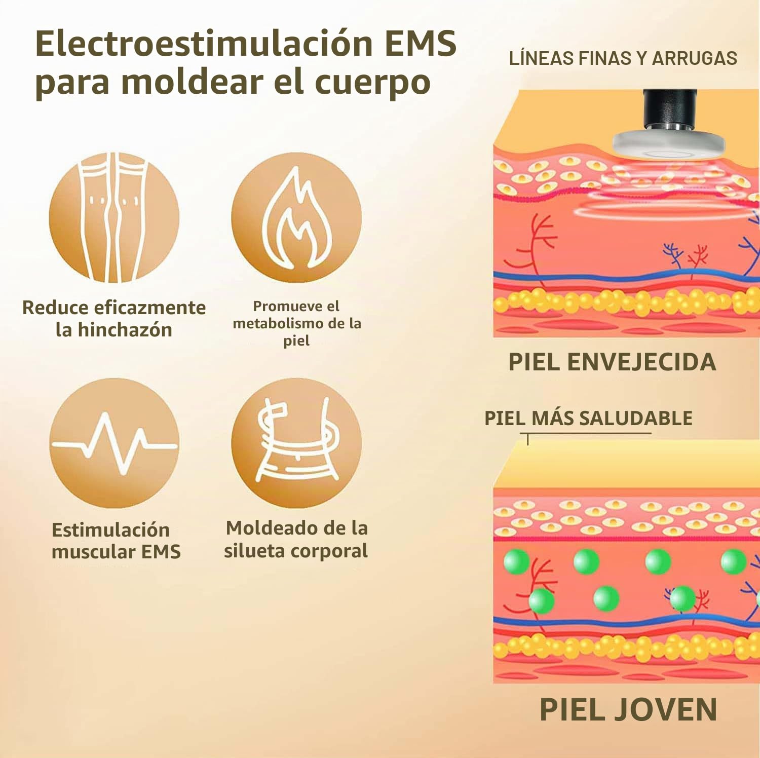 Elitzia Máquina facial de radiofrecuencia RF y EMS, uso doméstico, máquina de estiramiento de la piel, 3 tamaños, reemplazo de cabeza, levantamiento facial, reducción de arrugas, rejuvenecimiento de