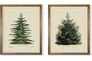 Vintage Farmhouse Wall Decor: Spruce Tree Prints to Adorn Your Rustic Abode