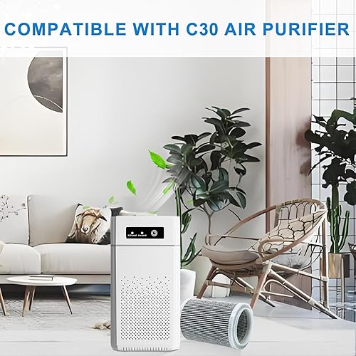 Miniatura 4 de Filtro de repuesto HEPA para purificador de aire compatible con filtro ZHIBO-C30 para filtros purificadores de aire ANB-VIHOSE-41021 (paquete de 2)