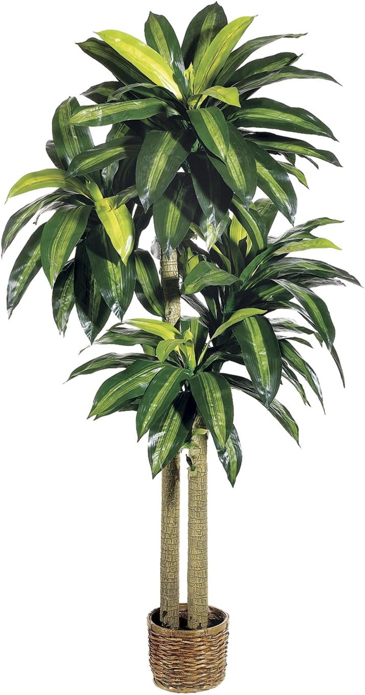 Silk Plants Direct Large Dracaena Plant (Pack of 2) Home