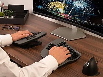 Amazon.com: KINESIS Advantage360 Professional Split