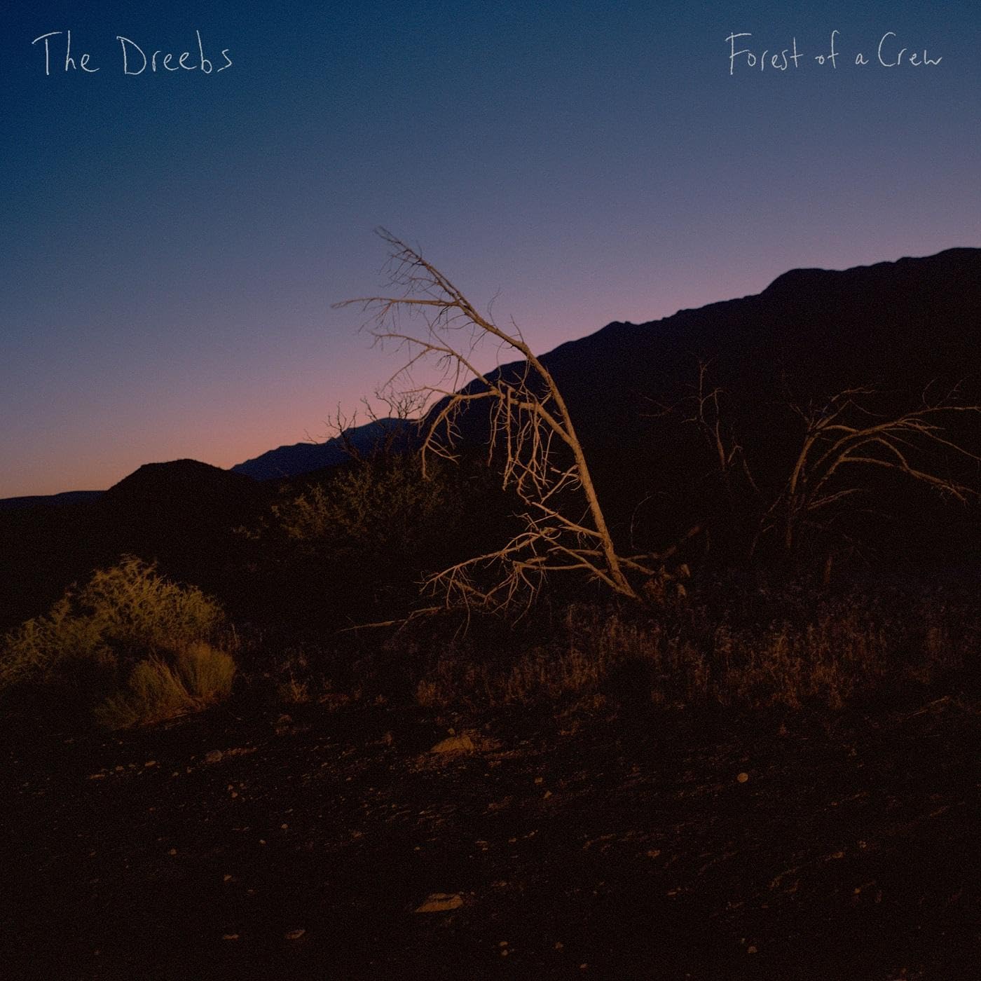 Forest Of A Crew [VINYL]