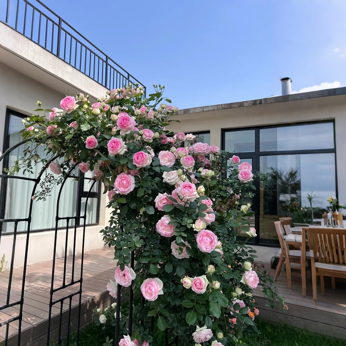 Arco per rose in metallo resistente alle intemperie 150 320 cm, supporto regolabile per rose e viti, elegante design nero, larghezza 250 cm x altezza 240 cm, perfetta decorazione da giardino
